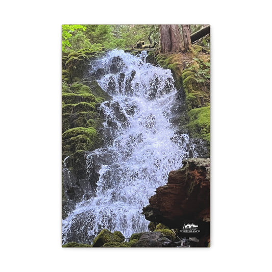 White Branch Falls Canvas